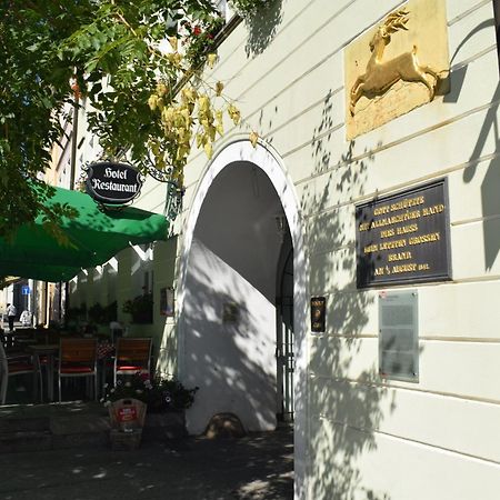 Akzent Hotel Goldner Hirsch Каменц Экстерьер фото